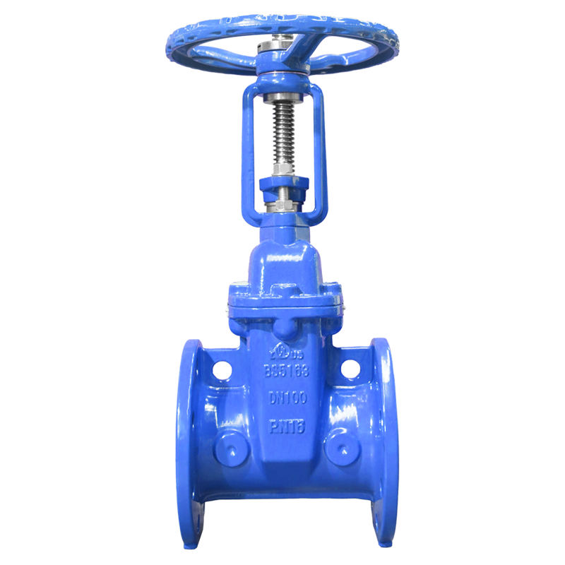 法蘭明桿軟密封閘閥（XZ41X-92C）DN50-DN600