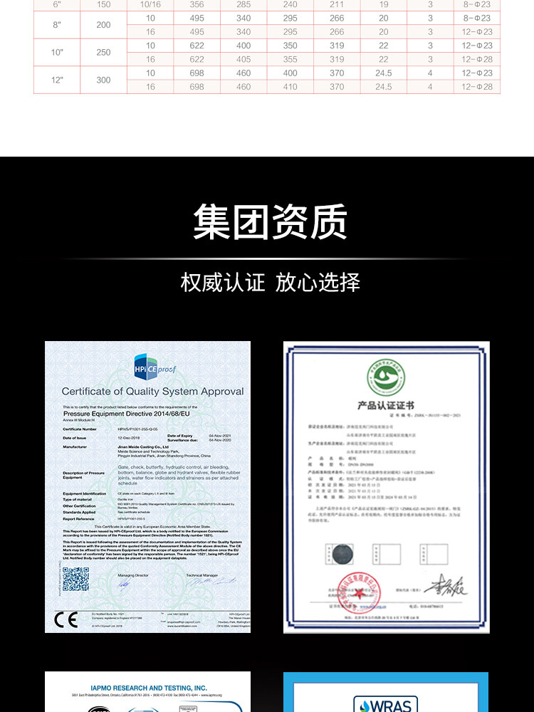 膠瓣式旋啟式止回閥