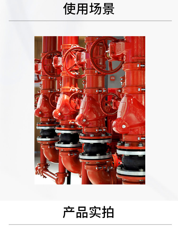 法蘭明桿軟密封閘閥