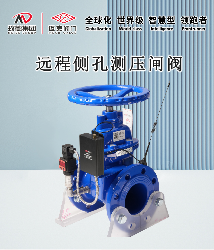 遠程側孔測壓閘閥_01.jpg